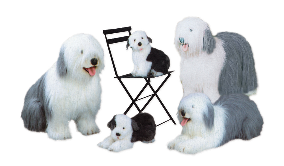 Old English Sheepdogs