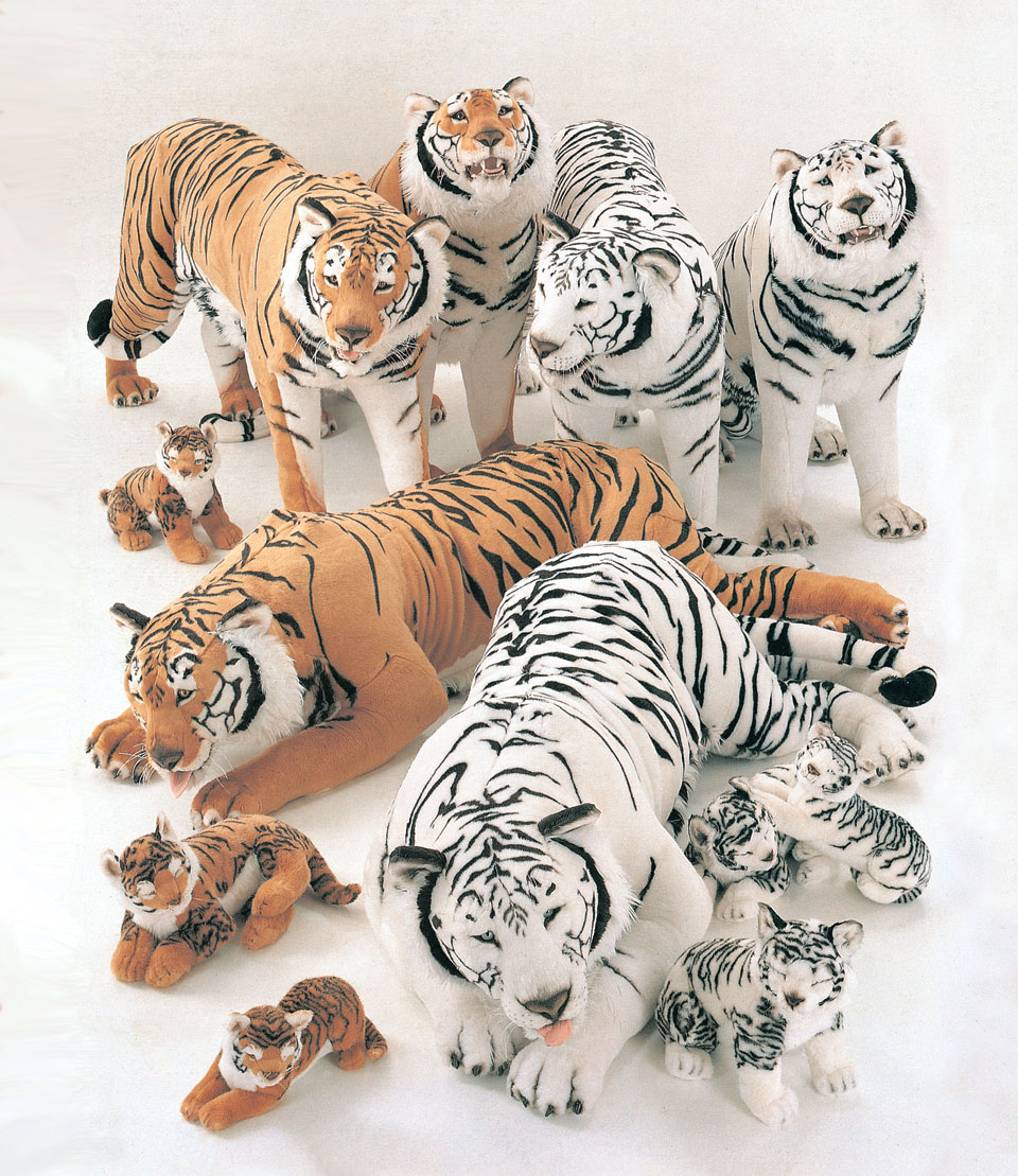 White Siberian Tigers