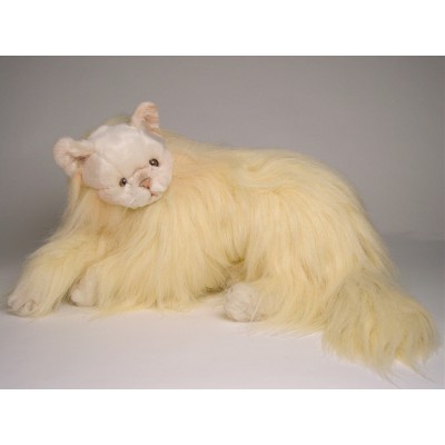 Angora Cat 2335 by Piutrè