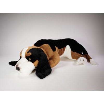 ​​B​asset Hound 4501 by Piutrè