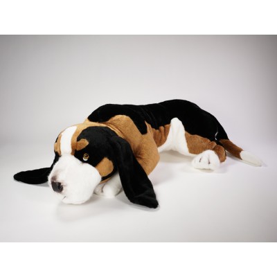 ​B​asset Hound 4502​ by Piutrè