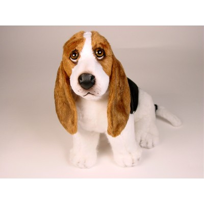 Basset Hound Puppy 3349 by Piutrè 