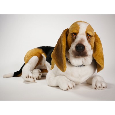 Basset Hound 3284 by Piutrè