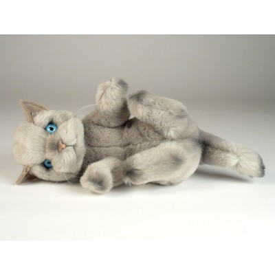 Beige Kitten 2445
