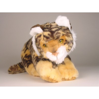 Bengal Tiger Cub 0402 by Piutrè