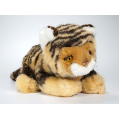 Bengal Tiger Cub 0412 by Piutrè 