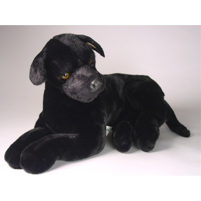 Black Great Dane Puppy 3316 by Piutrè