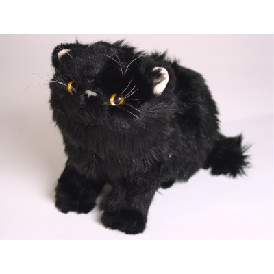 Black Persian Kitten 2399 by Piutrè 