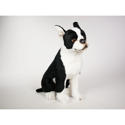 Boston Terrier 4220 by Piutrè 