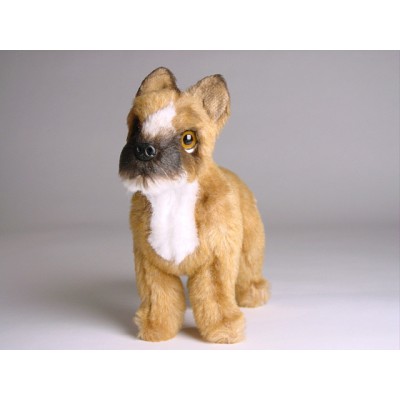 Boxer (Miniature) 4251 by Piutrè 