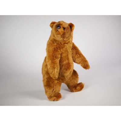 Brown Bear Cub 2124 by Piutrè