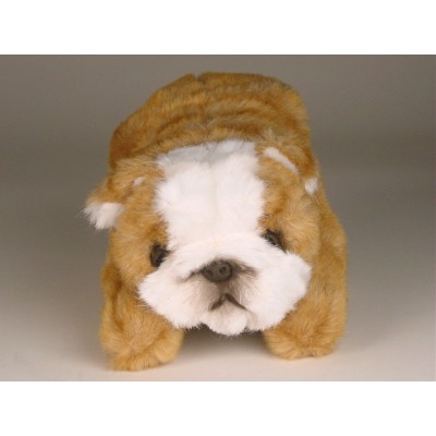 Bulldog (Miniature) 4296 by Piutrè