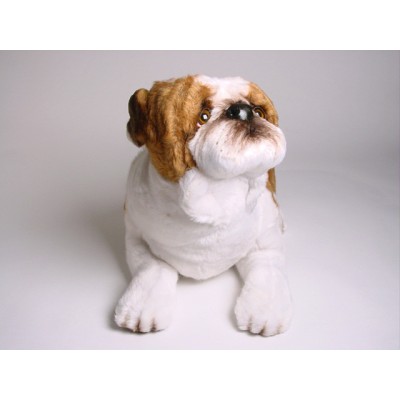 Bulldog 2272 by Piutrè 