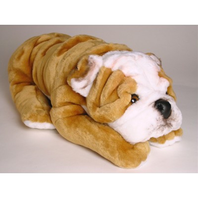 Bulldog Puppy 3287 by Piutrè 