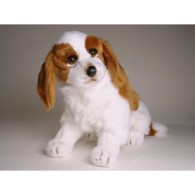 Cavalier King Charles Spaniel Puppy 1292 by Piutrè