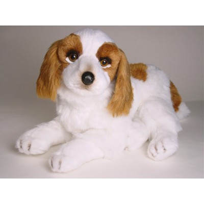 Cavalier King Charles Spaniel Puppy 1293 by Piutrè