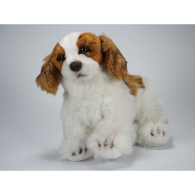 Cavalier King Charles Spaniel Puppy 1363 by Piutrè 