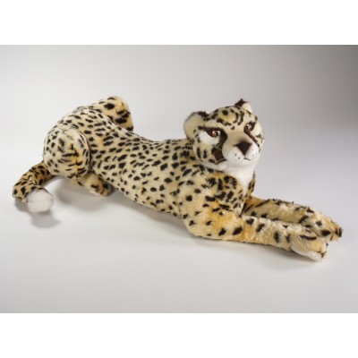 Cheetah Cub 2583 by Piutrè