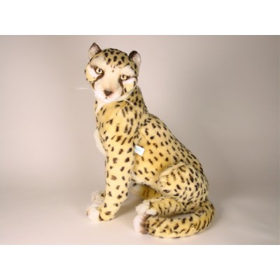 Cheetah Cub 2584 by Piutrè 
