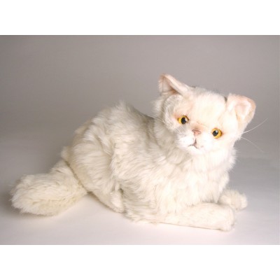Chinchilla Golden Persian Cat 2306 by Piutrè 