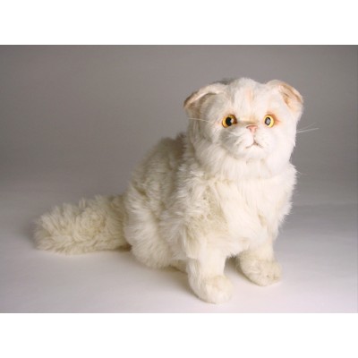 Chinchilla Golden Persian Kitten 2307 by Piutrè 