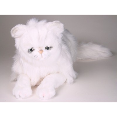 Chinchilla Silver Persian Cat 2301 by Piutrè