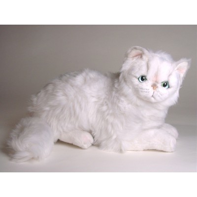 Chinchilla Silver Persian Kitten 2303 by Piutrè