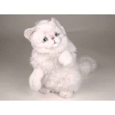 Chinchilla Silver Persian Kitten 2304 by Piutrè 