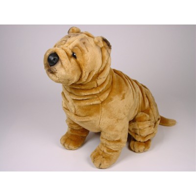 Chinese Shar-Pei 2273 by Piutrè