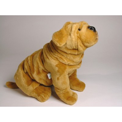 Chinese Shar-Pei Puppy 2298 by Piutrè 