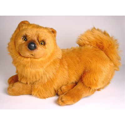 Chow Chow 3248 by Piutrè 