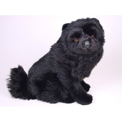 Chow Chow 3347 by Piutrè 