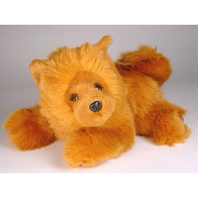 Chow Chow Puppy (Morbidone) 2613 by Piutrè