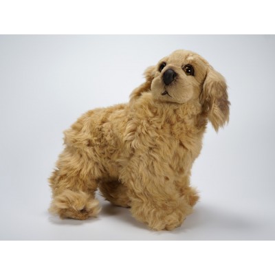Cocker Spaniel Puppy 1360 by Piutrè 