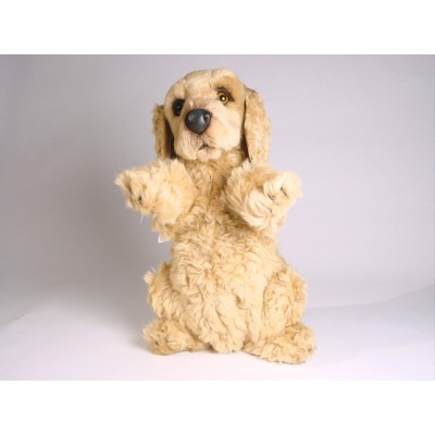 Cocker Spaniel Puppy 3200 by Piutrè