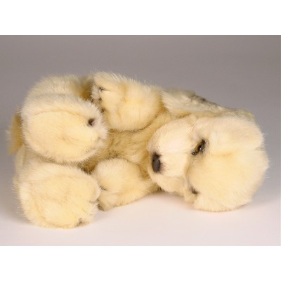 Cocker Spaniel Puppy 3209 by Piutrè 