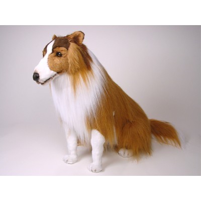Collie 1273 by Piutrè