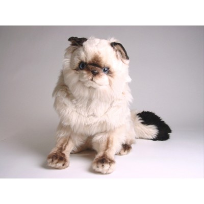 Colorpoint Ragdoll Cat 2360 by Piutrè 