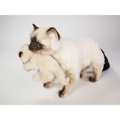 Colorpoint Ragdoll Cat with Kitten 2359 by Piutrè 