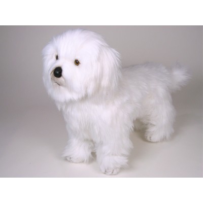 Coton de Tulear 0277 by Piutrè