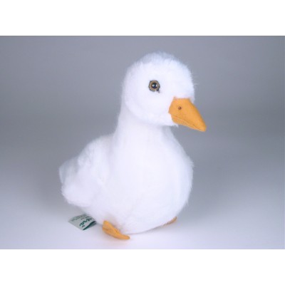 Cygnet 0731 by Piutrè