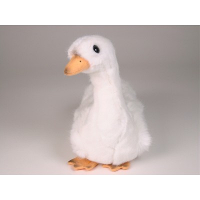 Cygnet 0732 by Piutrè