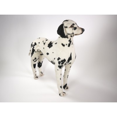 Dalmatian 3240 by Piutrè 
