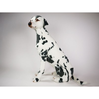 Dalmatian 3241 by Piutrè 