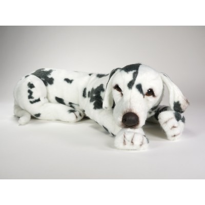 Dalmatian 3245 by Piutrè