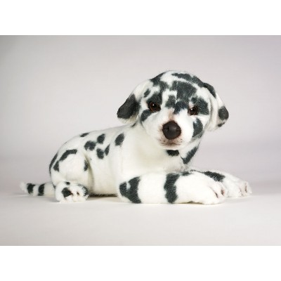 Dalmatian Puppy 3234 by Piutrè 