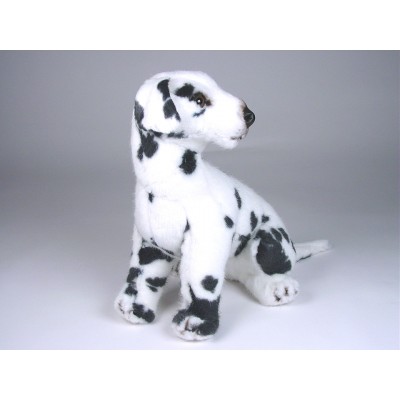 Dalmatian Puppy 3243 by Piutrè 