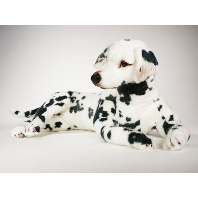 Dalmatian 3242 by Piutrè