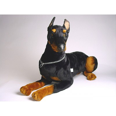 Doberman Pinscher (Reduced Size) 0271 by Piutrè