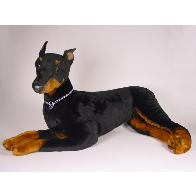 Doberman Pinscher 0264 by Piutrè 